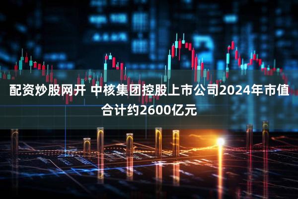 配资炒股网开 中核集团控股上市公司2024年市值合计约2600亿元