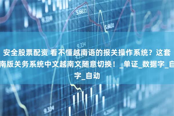 安全股票配资 看不懂越南语的报关操作系统？这套越南版关务系统中文越南文随意切换！_单证_数据字_自动