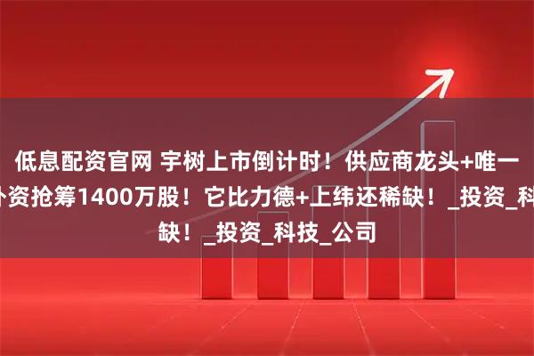 低息配资官网 宇树上市倒计时！供应商龙头+唯一参股，外资抢筹1400万股！它比力德+上纬还稀缺！_投资_科技_公司